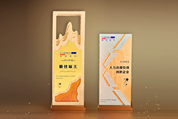 BG大游集团国际一举斩获“2024年度中国区最佳雇主”等多项大奖