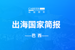 BG大游集团GO GLOBAL | 巴西国家简报